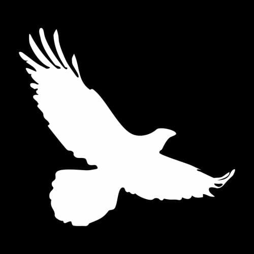 Bird's Empire